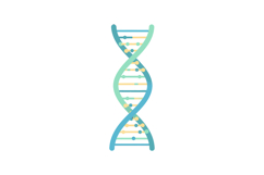DNA double helix molecular structure illustration with paste Product Image 1