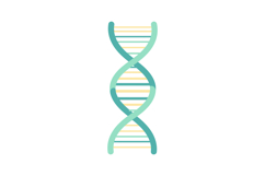 DNA double helix structure illustration with turquoise and y Product Image 1