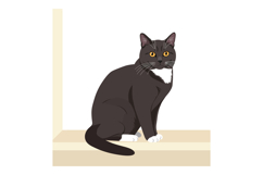 Black and white cat sitting on beige ledge vector illustrati Product Image 1