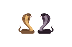 Two detailed cobras in a flat vector art style showcasing co Product Image 1