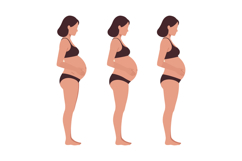 Three pregnant women showcasing different stages of pregnanc Product Image 1