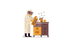 Beekeeper in protective gear inspecting honeycomb frames in Product Image 1
