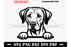 Peeking Rhodesian Ridgeback Dog SVG PNG DXF EPS PDF Product Image 1