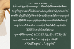 Rhythm Darling - Modern Handwritten Script Product Image 18