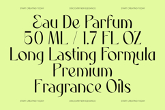 Rhythm The Night - Modern Editorial Serif Product Image 8
