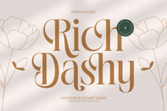 Rich Dashy - Modern Elegant Serif Font Product Image 1
