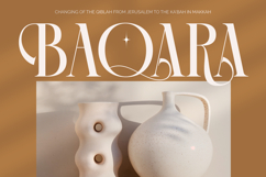 Rich Dashy - Modern Elegant Serif Font Product Image 2