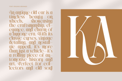 Rich Dashy - Modern Elegant Serif Font Product Image 9