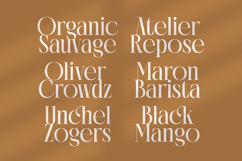 Rich Dashy - Modern Elegant Serif Font Product Image 12