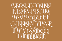 Rich Dashy - Modern Elegant Serif Font Product Image 14