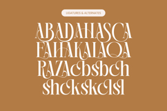 Rich Dashy - Modern Elegant Serif Font Product Image 18