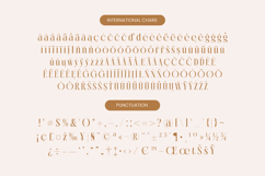 Rich Dashy - Modern Elegant Serif Font Product Image 19