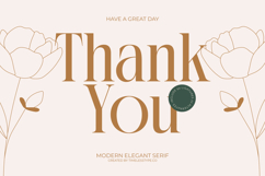 Rich Dashy - Modern Elegant Serif Font Product Image 20