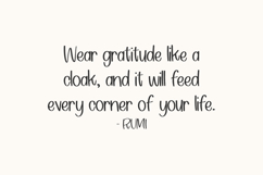 Ridgepine Sans Product Image 6