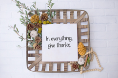 Ridgepine Sans Product Image 7