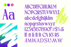 Rigflek - Serif Display Font Product Image 9