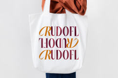 Rigflia Nirsho - Modern Display Font Product Image 4