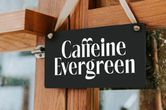 Rigflia Nirsho - Modern Display Font Product Image 10