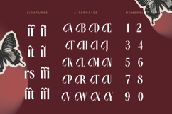 Rigflia Nirsho - Modern Display Font Product Image 18