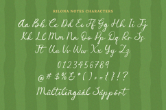 Rilona Notes - Inky Handwritten Script Font Product Image 6