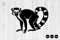 Ring Tailed Lemur SVG, Lemur SVG, Animal SVG Product Image 1