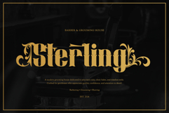 Ringer Luctor | Decorative Display Font Product Image 3
