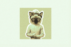 Risograph Grain Effect Product Image 2