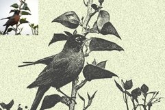 Risograph Photo Effect Product Image 9