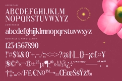 Rituals Sunday - Serif Display Font Product Image 18