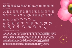 Rituals Sunday - Serif Display Font Product Image 19