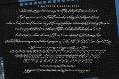 Rituals Trailer - Modern Brush Script Product Image 18