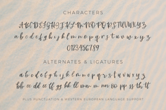 Riviera Mexicana Script Product Image 10