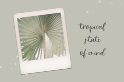 Riviera Mexicana Script Product Image 7