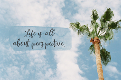 Riviera Mexicana Script Product Image 9