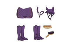 Equestrian gear including saddle pad, bridle, helmet, boots, Product Image 1