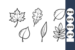 Collection of six detailed black and white leaf vector drawi Product Image 1