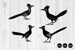 Roadrunner SVG, Bird Bundle SVG Product Image 1