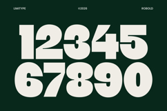 Robold - Bold Display Font Product Image 10