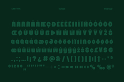 Robold - Bold Display Font Product Image 11