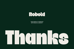 Robold - Bold Display Font Product Image 12