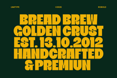 Robold - Bold Display Font Product Image 7