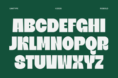 Robold - Bold Display Font Product Image 8