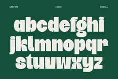 Robold - Bold Display Font Product Image 9