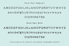 Rock Salt Typewriter Serif Product Image 10