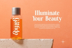 Rodagile - Modern Display Serif Product Image 4