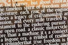 Rodagile - Modern Display Serif Product Image 13