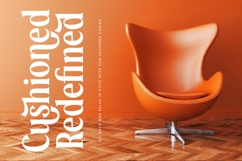 Rodagile - Modern Display Serif Product Image 17