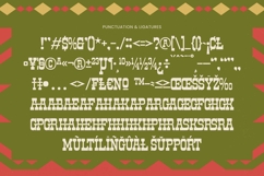 Rodeo Drinks Western Vintage Font Product Image 19