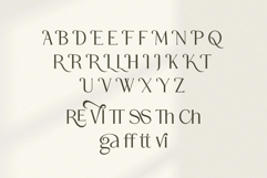 Rogatte || elegant ligature serif Product Image 11