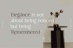 Rogatte || elegant ligature serif Product Image 12